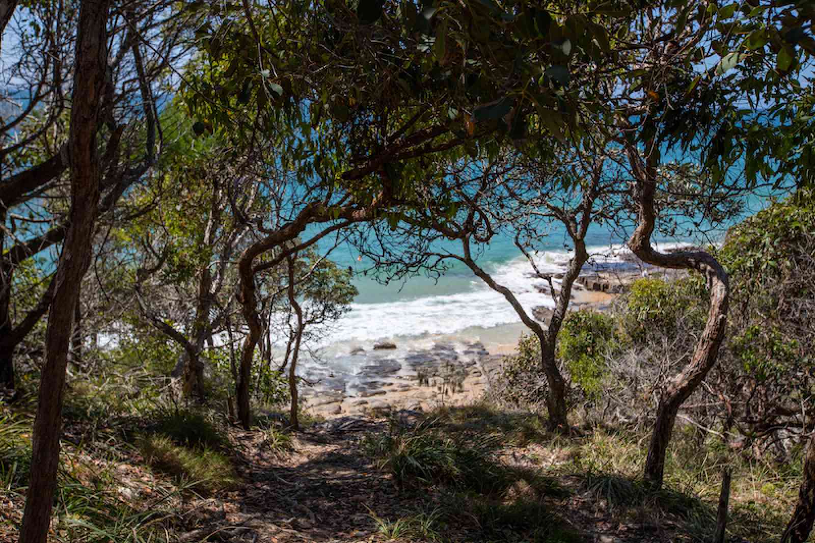 Australien: Noosa Nationalpark Strand und Eukalyptus Noosa Nationalpark - Versteckte Orte