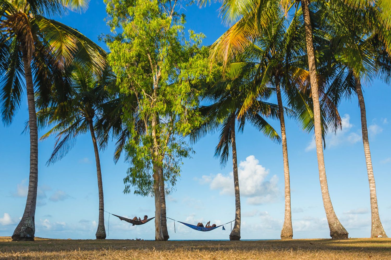 Rex Smeal Park Port Douglas Blijft u in uw hangmat liggen? Of gaat u op pad met een Aboriginal-gids