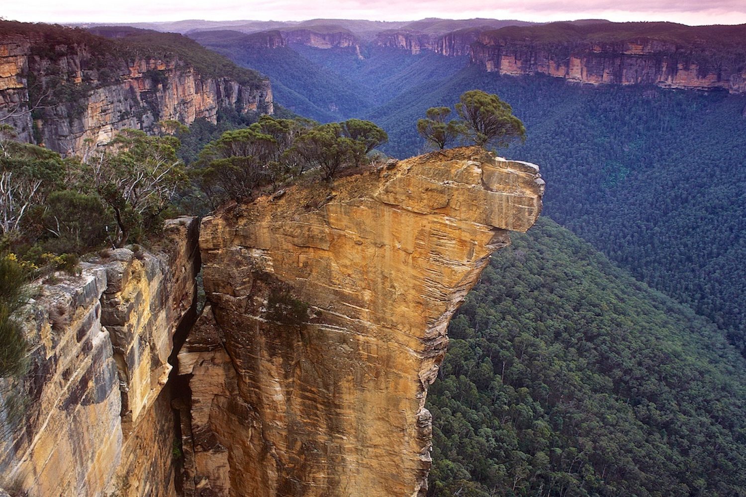 Blue Mountains Sydney Australia 2 Spektakuläre Felsvorsprünge und tiefe Schluchten in den australischen Blue Mountains
