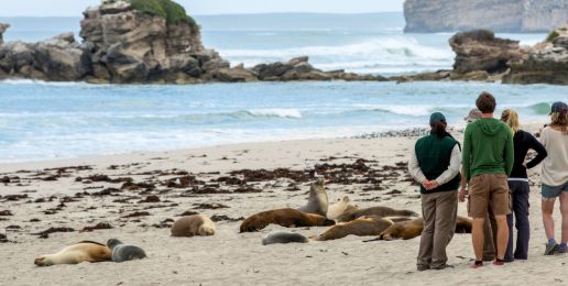 4-weekse rondreis door Zuidoost Australië vol activiteiten en afwisselende accommodaties