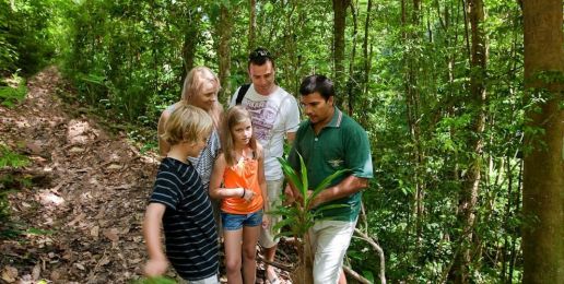 3,5-weekse reis naar Tropical North Queensland met uw gezin