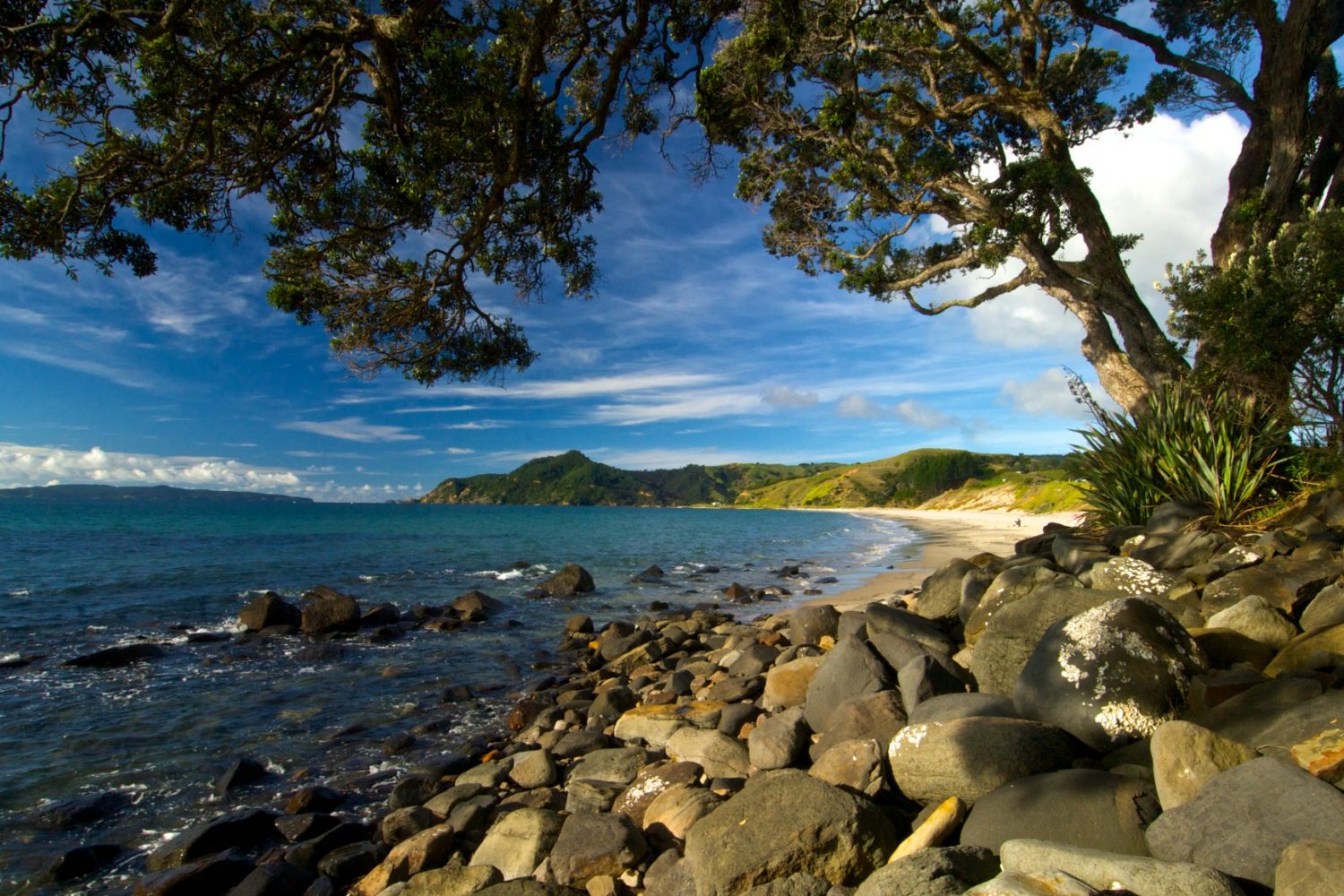 Neuseeland: Coromandel - Strand Strand in der Coromandel Region