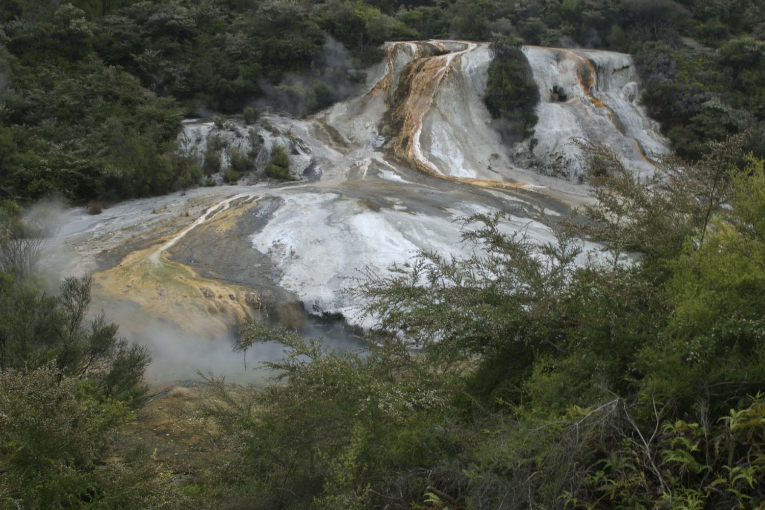 Neuseeland: Rotorua Schwefelquellen in Rotorua