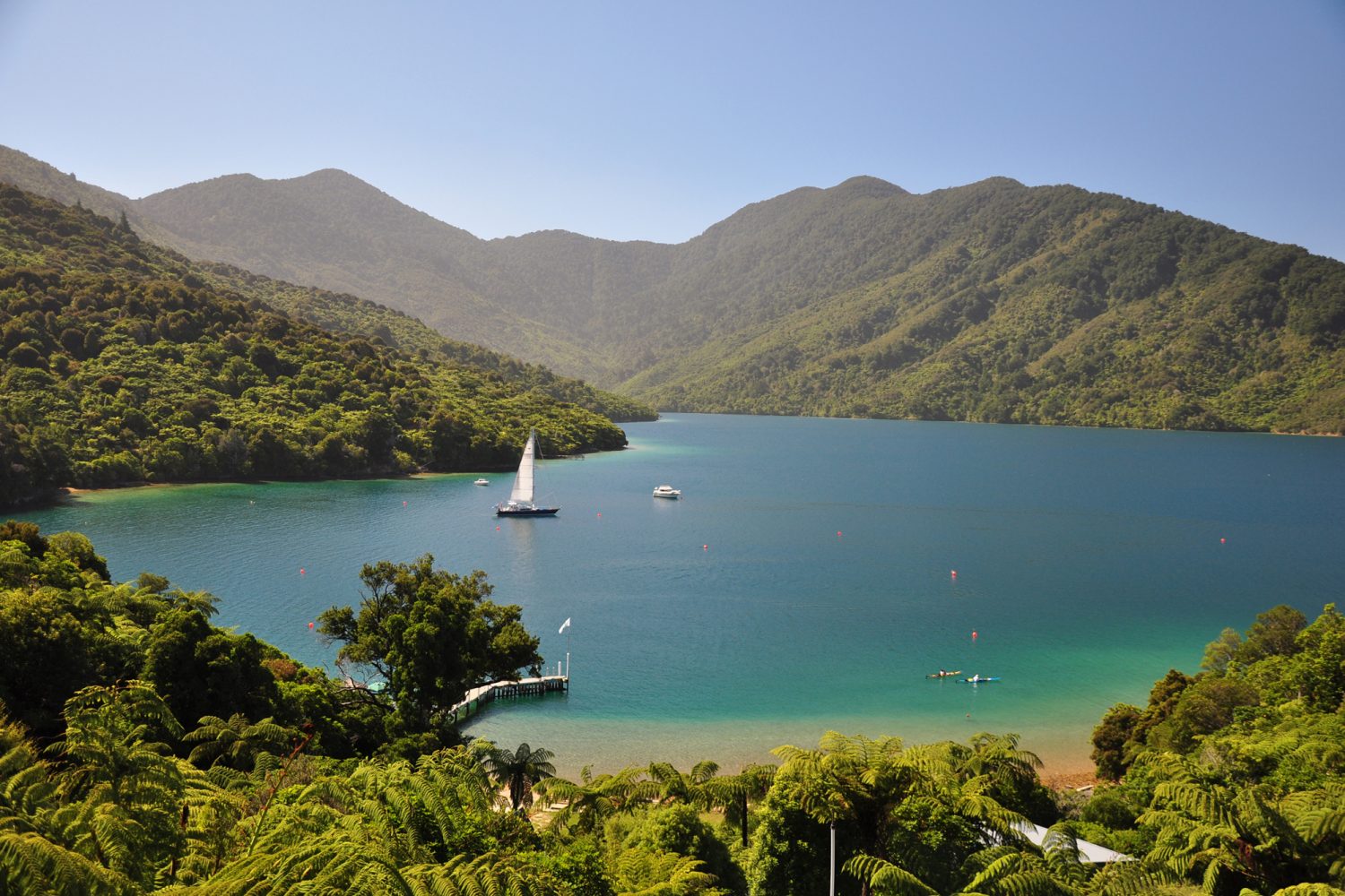 Marlborough Sounds Punga Cove Resort View Marlborough Sounds