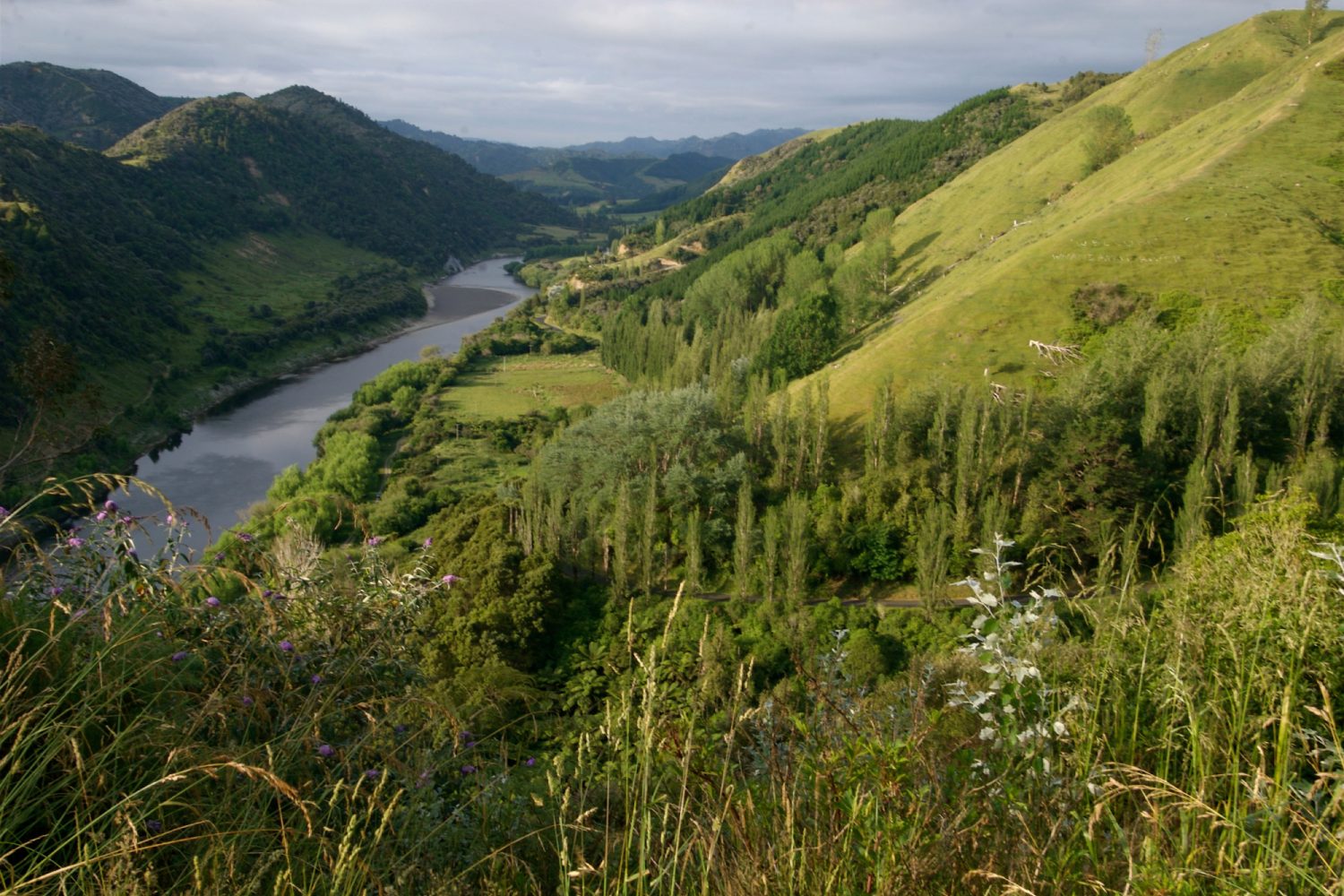 Neuseeland: Whanganui River Valley Whanganui River Valley